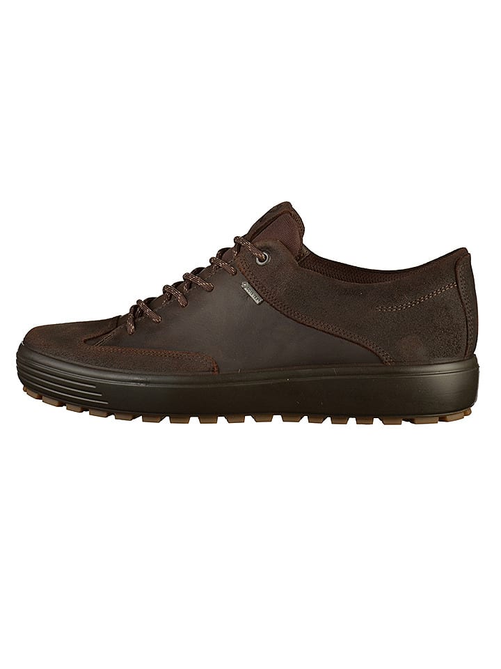 Dunkelbraun In In Sneakers Leder Dunkelbraun Sneakers In Leder Leder Sneakers Y67yvbfg