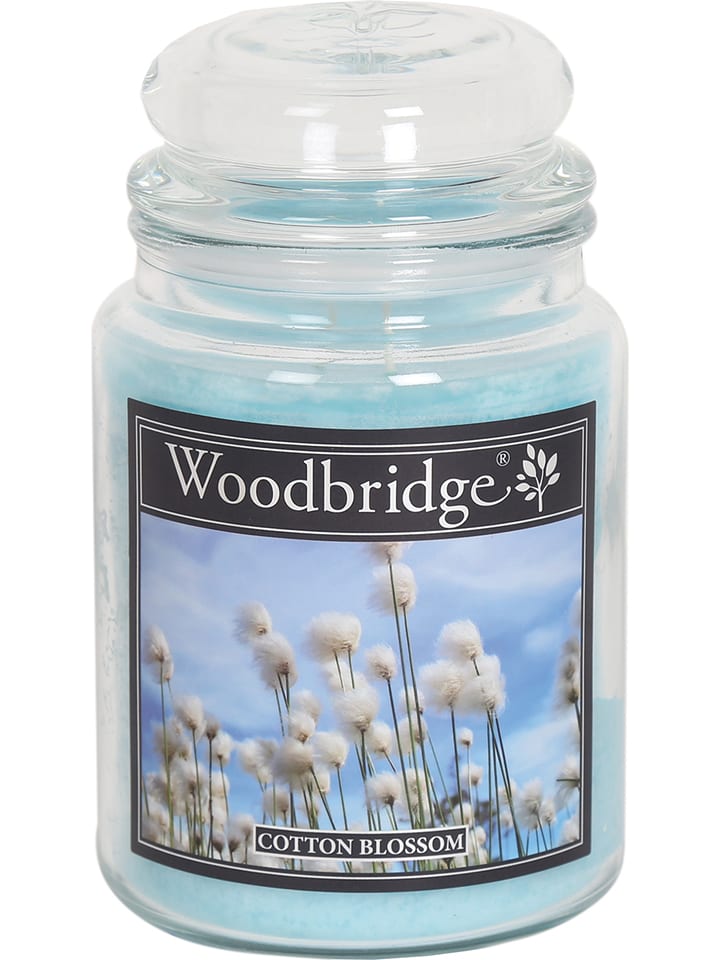 Woodbridge Duftkerze "Cotton Blossom" in Hellblau - 565 g - 29% | Kerzen-vasen