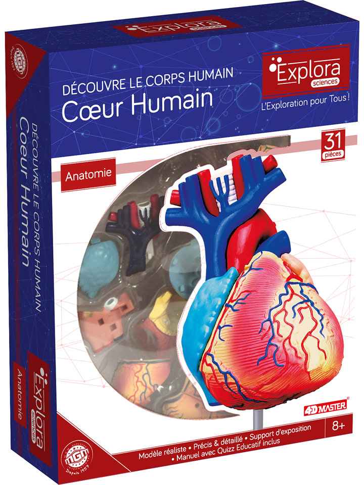 MGM Bausatz "Herz" - ab 8 Jahren - 14% | Experimentieren-spielzeug