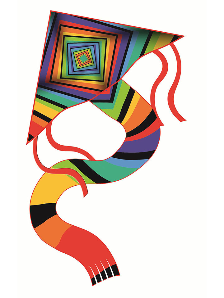 Günther Drache "MATRIX" - (L)52 x (B)97 cm - 16% | Outdoorspielzeug