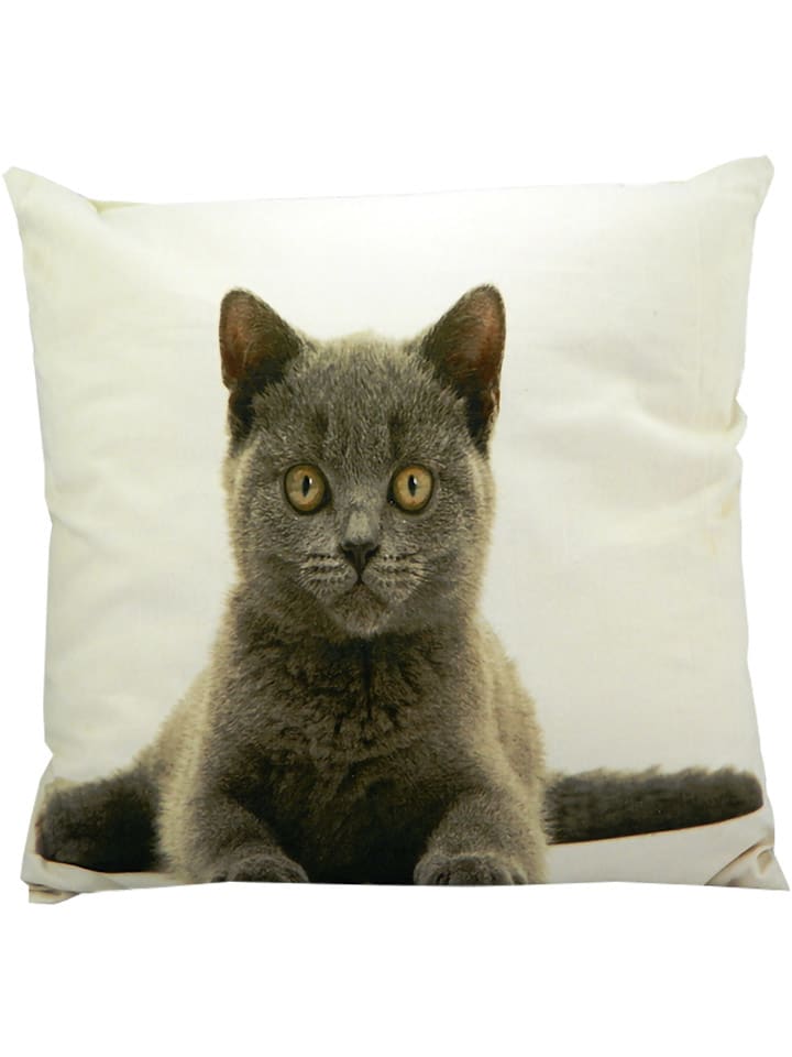 Mars & More Kissen "British Shorthair" in Braun/ Weiß - (L)50 x (B)50 cm - 33% | Dekokissen