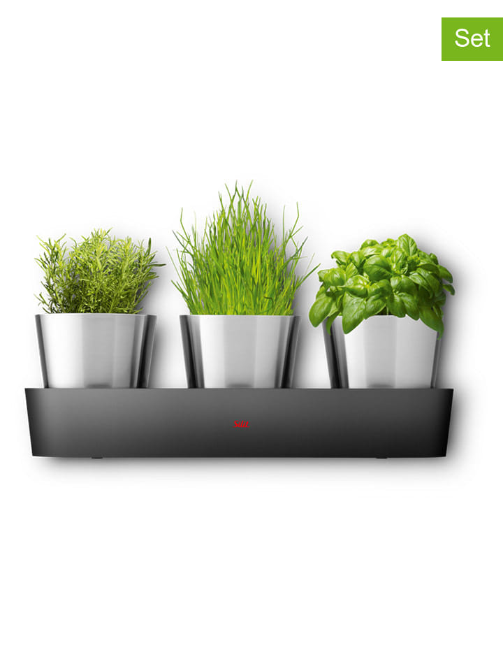 Silit 4tlg. Set: Kräutertöpfe "Collexio" in Silber - 23% | Gartenwerkzeuge