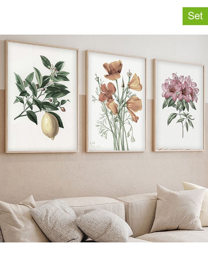 ABERTO DESIGN 3er-Set: Gerahmte Kunstdrucke - 57% | Größe 50x70 cm | Wanddekoration
