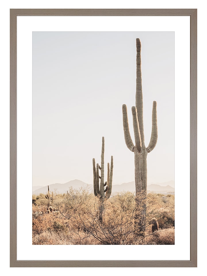 Ars Longa Gerahmter Kunstdruck "Cactus in Arizona" - (L)70 x (B)50 cm - 29% | Wanddekoration