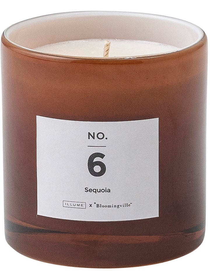 Bloomingville Duftkerze "NO.6-Sequoia" in Braun - 200 g - 61% | Kerzen-vasen