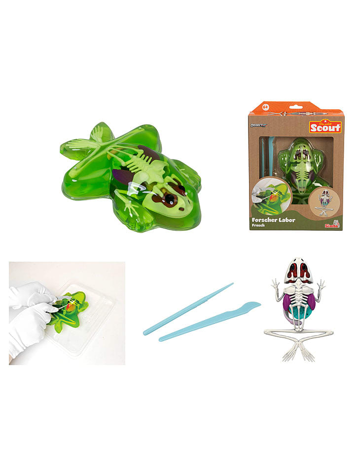 Simba Experimentierset ''Dissect-It - Frosch'' - ab 6 Jahren - 15% | Experimentieren-spielzeug