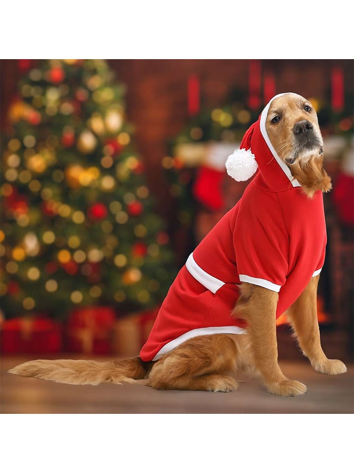 Paws&Whiskers Hundehoodie in Rot - 64% | Größe 9XL | Tierbedarf-hunde