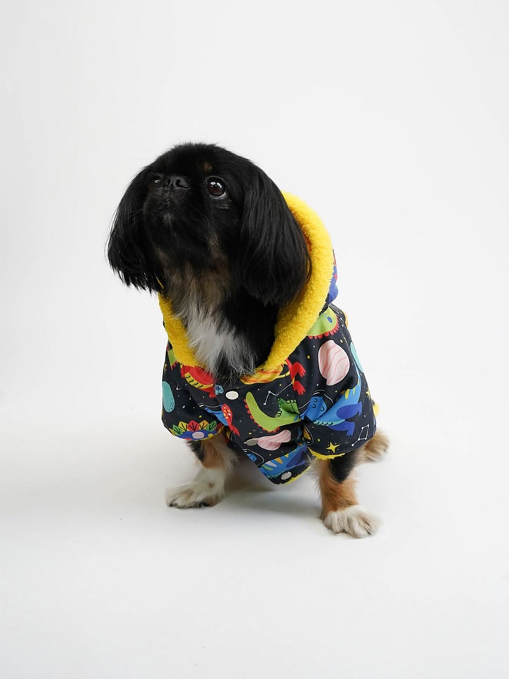 Paws&Whiskers Hundehoodie in Bunt - 51% | Größe L | Tierbedarf-hunde