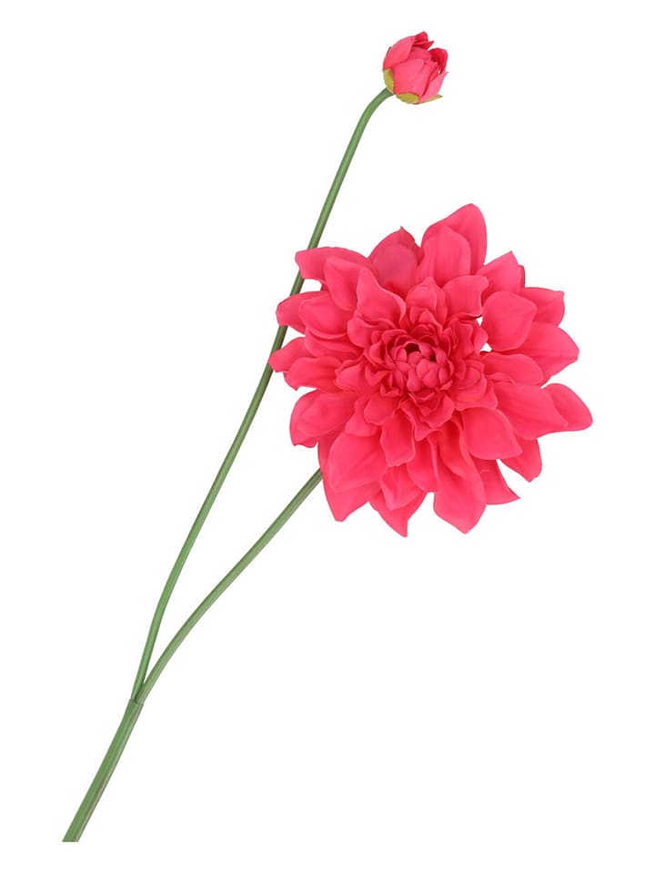 daan kromhout Kunstblume "Dahlia" in Rot/ Grün - (H)78 cm - 33% | Kerzen-vasen