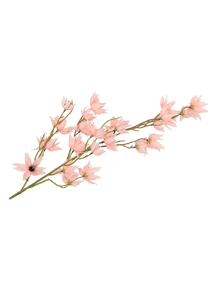 daan kromhout Dekozweig "Clematis Tak" in Rosa/ Braun - (H)63 cm - 38% | Kerzen-vasen