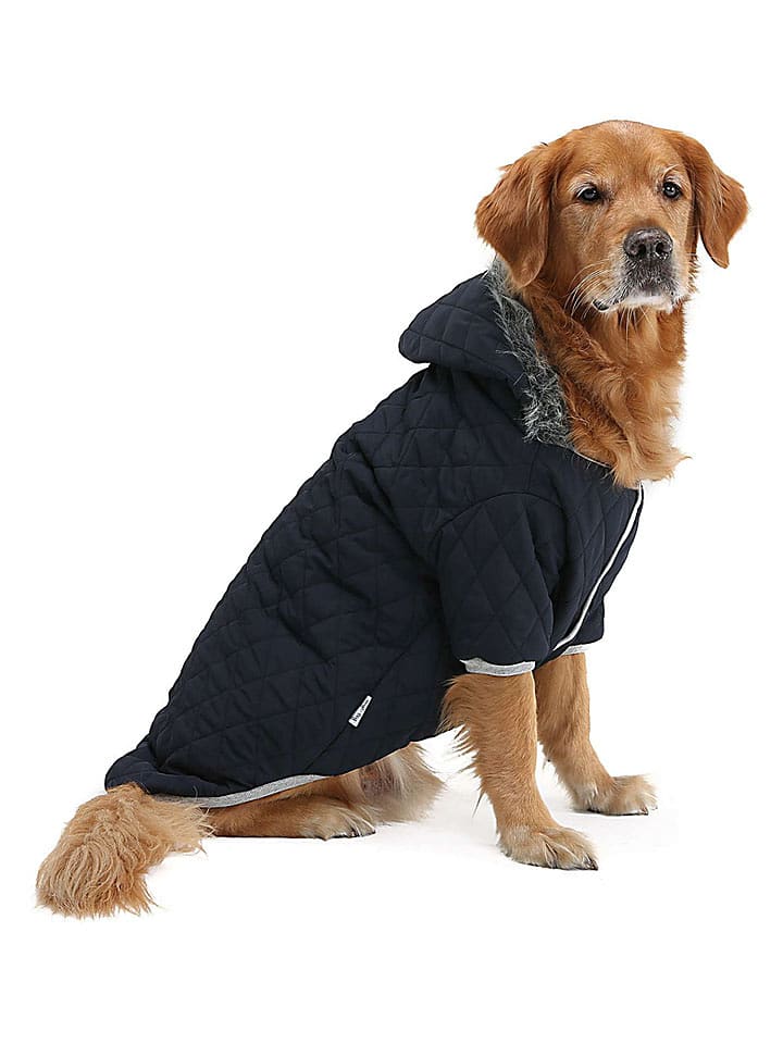 Paws&Whiskers Hundehoodie in Schwarz - 59% | Größe 9XL | Tierbedarf-hunde