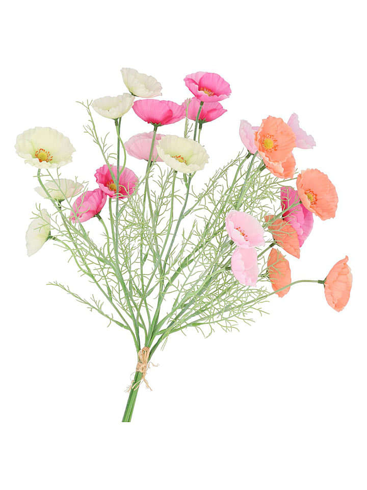 daan kromhout Dekozweig "Poppy" in Bunt - (H)60 cm - 47% | Kerzen-vasen