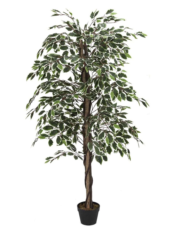 Garden Spirit Kunstpflanze in Grün - (B)80 x (H)170 cm - 60% | Kerzen-vasen