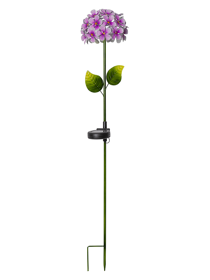 STAR Trading LED-Solar-Gartenstecker "Hortensia" in Violett - (H)77 cm - 8% | Aussenbeleuchtung
