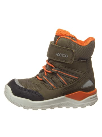 ecco 80 sale