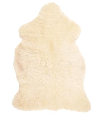 Wohnaccessoires & Deko günstig kaufen | Bis -80% reduziert