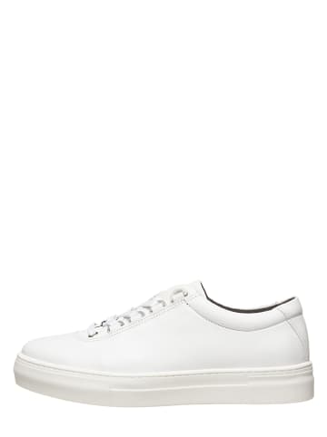 sneakers kopen online