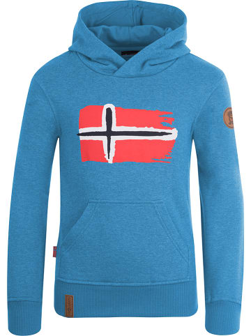 adidas sweatshirt herren reduziert