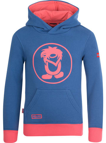 adidas hoodie reduziert