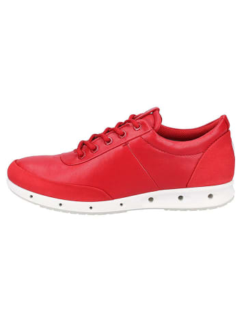 Ecco Schuhe Outlet | Bis 80% reduziert Ecco Schuhe Outlet | Bis 80% reduziert