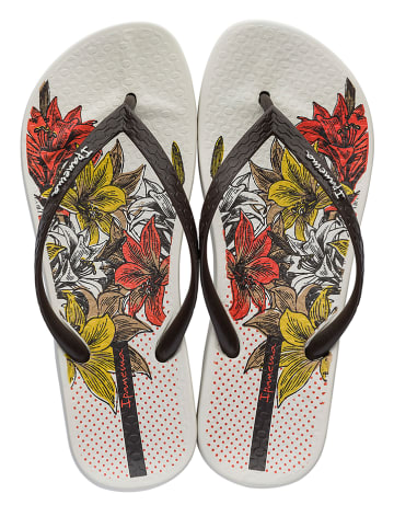 Zehentrenner Outlet SALE 80% | Zehentrenner günstig Damen Zehensandalen Sale auf viele Zehensandalen