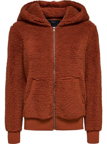 Champion Sweatshirt lichtroze goedkoop kopen | limango Champion Sweatshirt bruin goedkoop kopen | limango