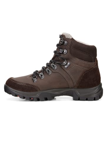 Günstige ecco Stiefeletten für Damen im Outlet SALE Günstige ecco Stiefeletten für Damen im Outlet SALE