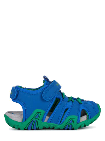 Geox Outlet Online Shop | Geox Schuhe | Geox günstig kaufen Geox Outlet Online Shop | Geox Schuhe | Geox günstig kaufen