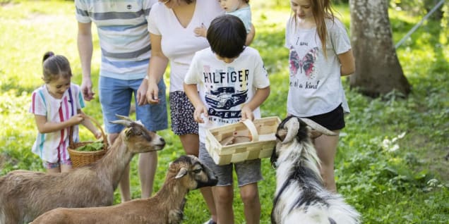 Familienhotel Bruckwirt