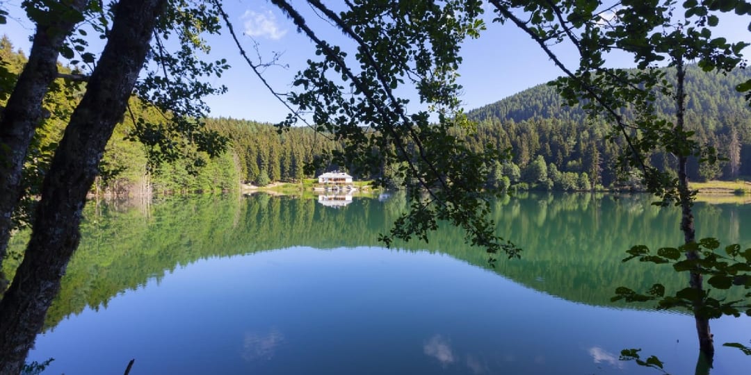 Surprise Deal - Thüringer Wald