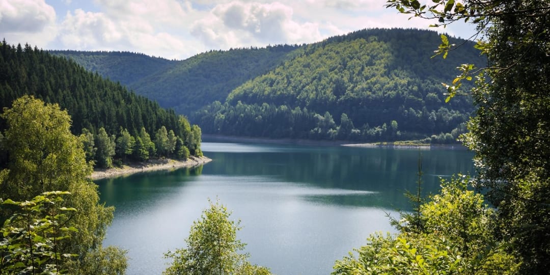 Waldhotel Berghof