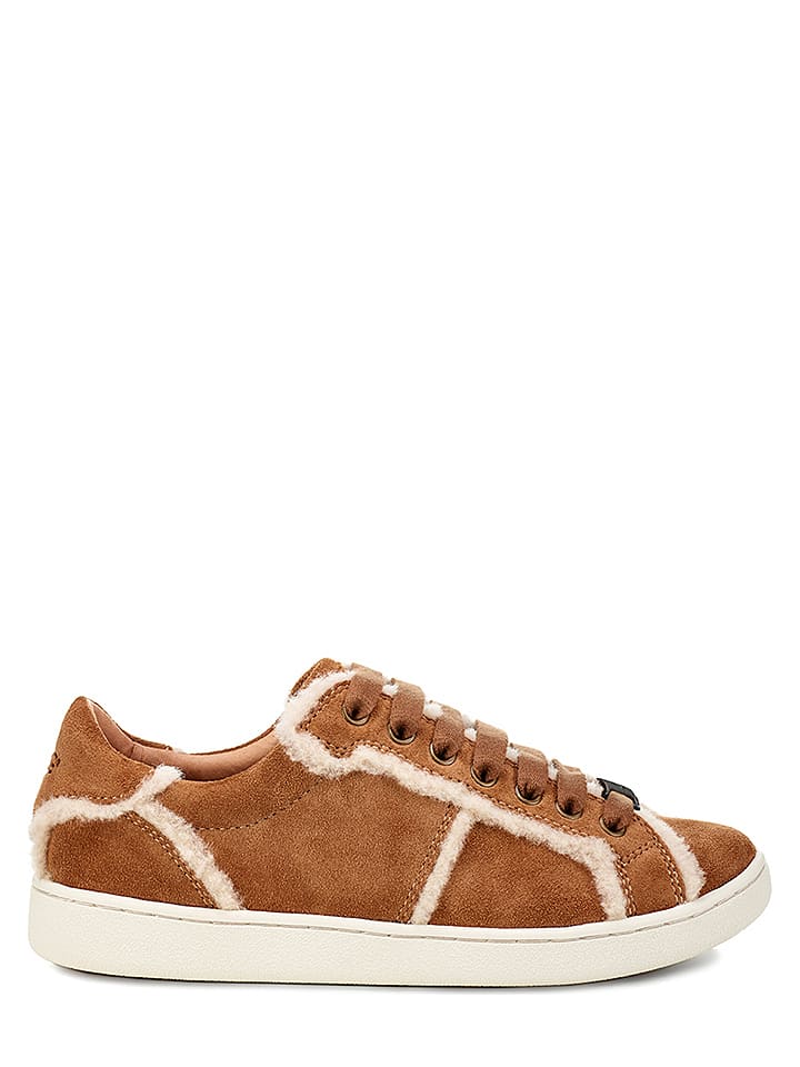 ugg leder sneaker