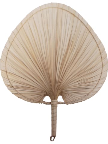 Deco Lorrie Palmblad naturel - (B)30 x (H)42 cm