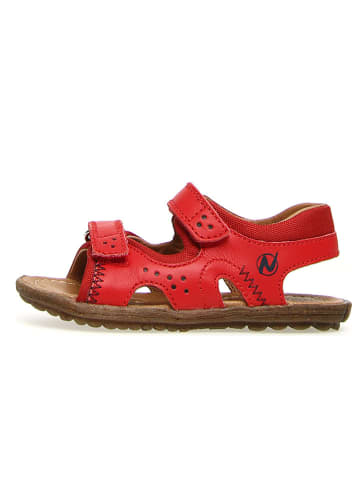 Naturino Skórzane sandały "Himmel" w kolorze czerwonym