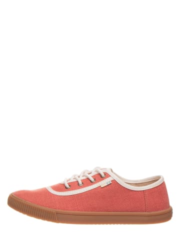 TOMS Sneakers "Carmel" rood
