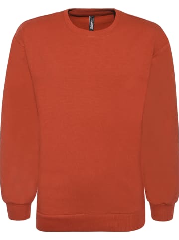 Blue Effect Sweatshirt rood