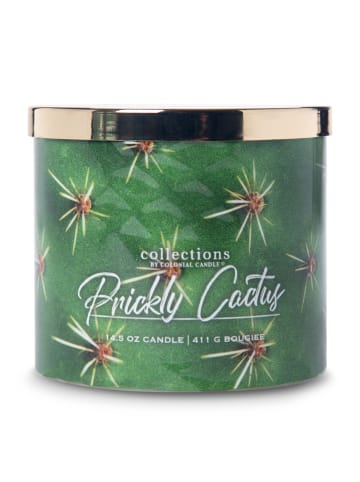 Colonial Candle Geurkaars "Desert Prickly Cactus" groen - 411 g