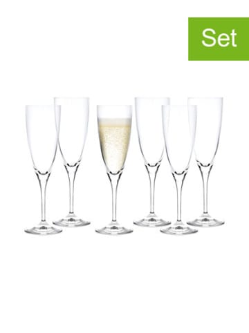 DUKA 6-delige set: champagneglazen - 250 ml