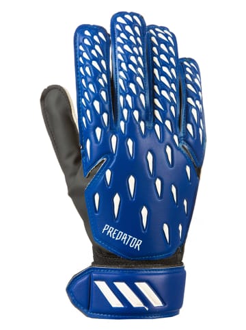 Adidas Keepershandschoenen "Predator" blauw/wit