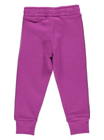 Champion Spodnie dresowe w kolorze fioletowym