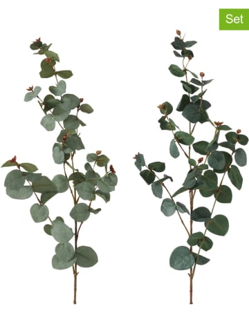 Boltze Decoratieve tak "Eukalyptus" - (L)87 cm (verrassingsproduct)