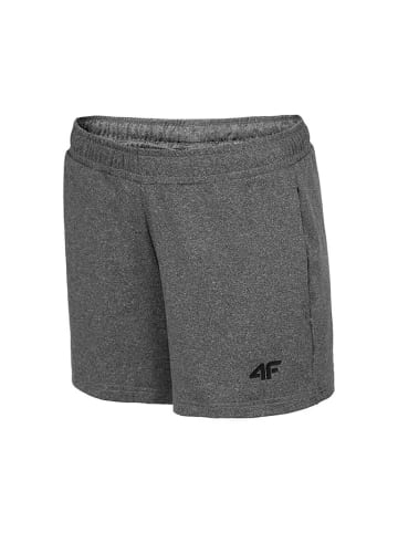 4F Shorts in Grau
