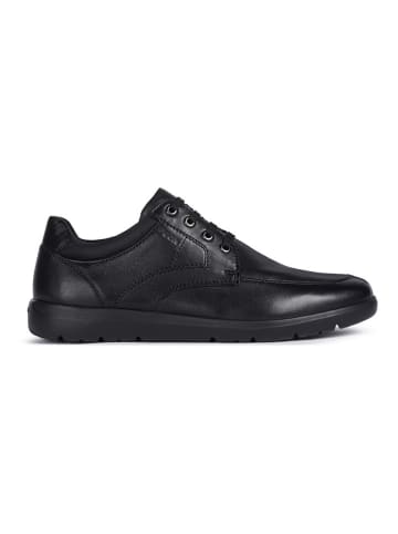 Geox Sneakers "Leitan" zwart