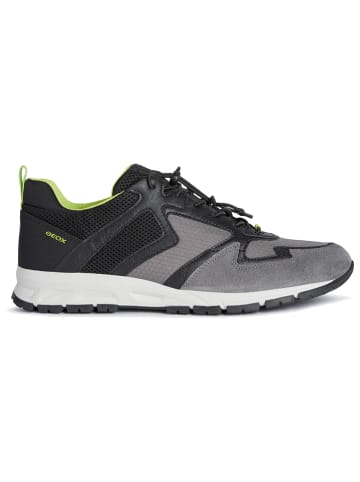 Geox Sneakers "Delray" grijs/zwart