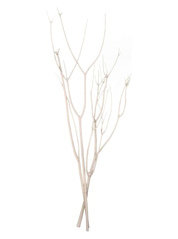Deco Lorrie Mitsumata beige - (H)90 cm