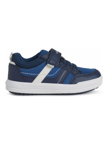 Geox Sneakers "Arzach" in Blau/ Weiß