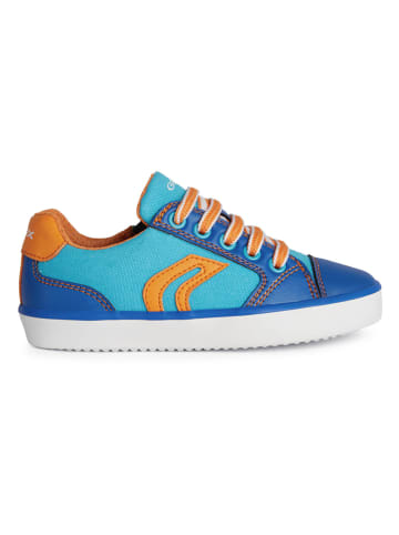 Geox Sneakers "Gisli" blauw/oranje