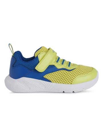 Geox Sneakersy "Sprintye" w kolorze niebiesko-limonkowym