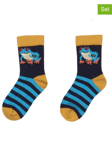 Walkiddy 2-delige set: sokken meerkleurig