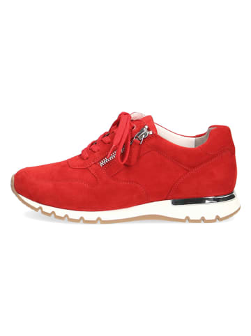 Caprice Leren sneakers "Ginga" rood